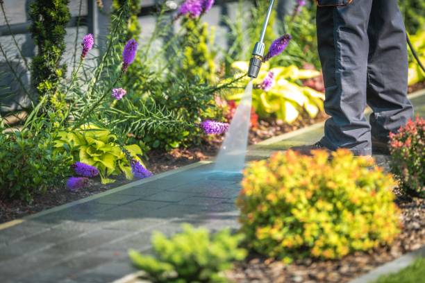 Best Gutter Cleaning  in Westmont, NJ